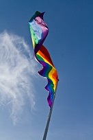 Regenboogvlag - CC-Pixabay klein 1