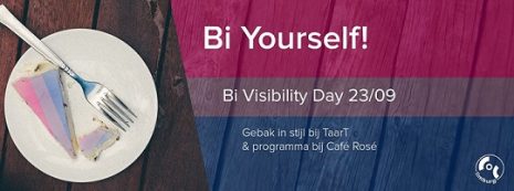 bi-visibiliy-day-2016-maastricht-klein